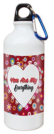

Skytrends Aluminium Multi Water Bottle ( 750 ml Set of 1 )