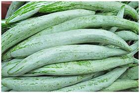 Snake Gourd Seeds - High Yield Vegetable Seeds - Vegetable Seeds For Winter Kitchen : Kitchen Garden Pack by Creative Farmer