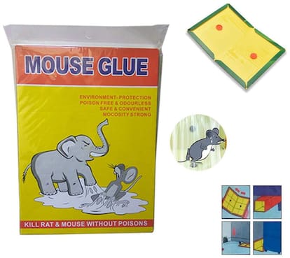 SNR Non-Toxic Odourless Adhesive Sticky Glue Rat Trap Pad - Set of 1