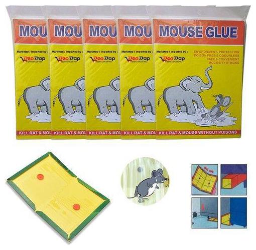 

SNR SET of 5 - Mouse Insect Rodent Lizard Trap Rat Catcher Adhesive Sticky Glue Pad - Non Poisonous - Non Toxic - Odourless - Rat Terminator