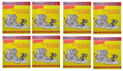 SNR SET of 8 - Mouse Insect Rodent Lizard Trap Rat Catcher Adhesive Sticky Glue Pad - Non Poisonous - Non Toxic - Odourless - Rat Terminator