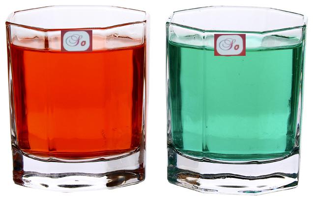 

Somil Multi-Purpose Beaver Tumbler Drinking Glass Set for Home Use (Set Of 2)