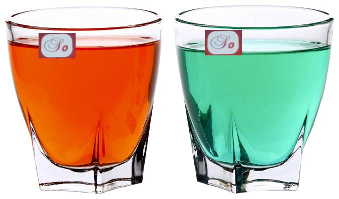 

Somil Multi-Purpose Beaver Tumbler Drinking Glass Set for Home Use (Set Of 2)