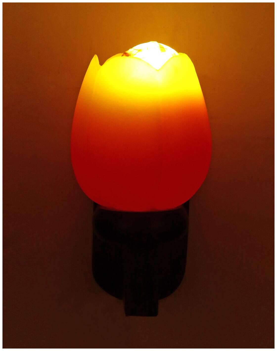 

Somil Sconce Wall Designer Wall Lamp