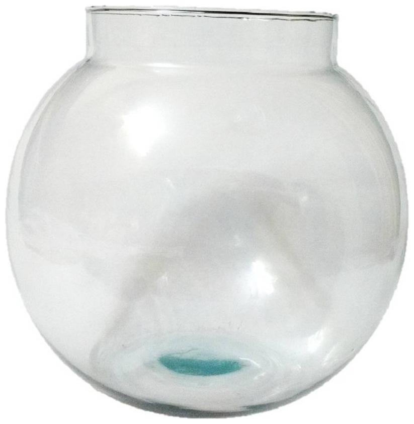 

Somil Transparent Round Glass Fish Pot