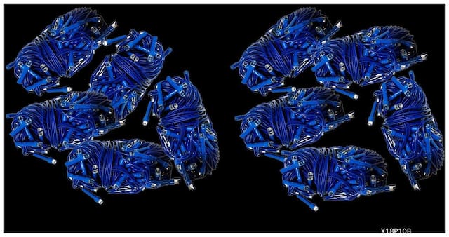 Special Diwali Offer Pack of 10 [[Blue Color]] Festival Decorative 12 M 54 Bulbs High Quality Indoor LED String Fairy Series Lights