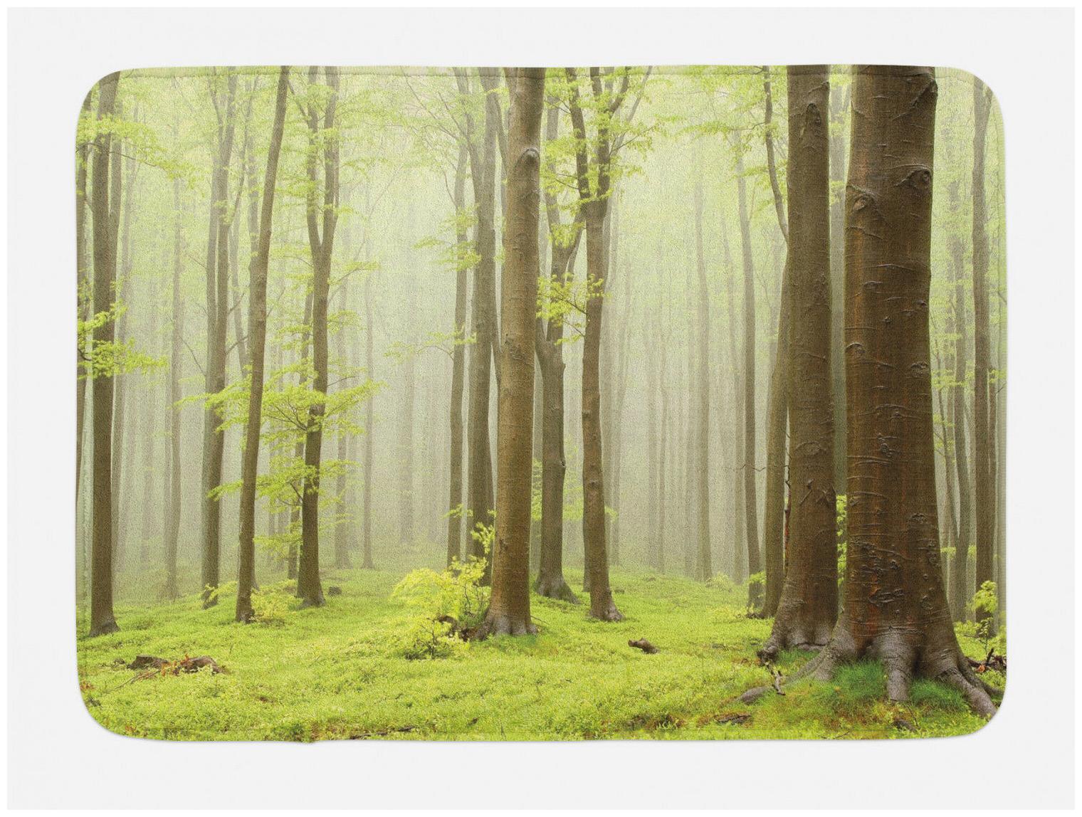 

Spring Bath Mat Misty Beech Forest Photo Non-Slip Plush Mat 29 5 X 17 5 Inches