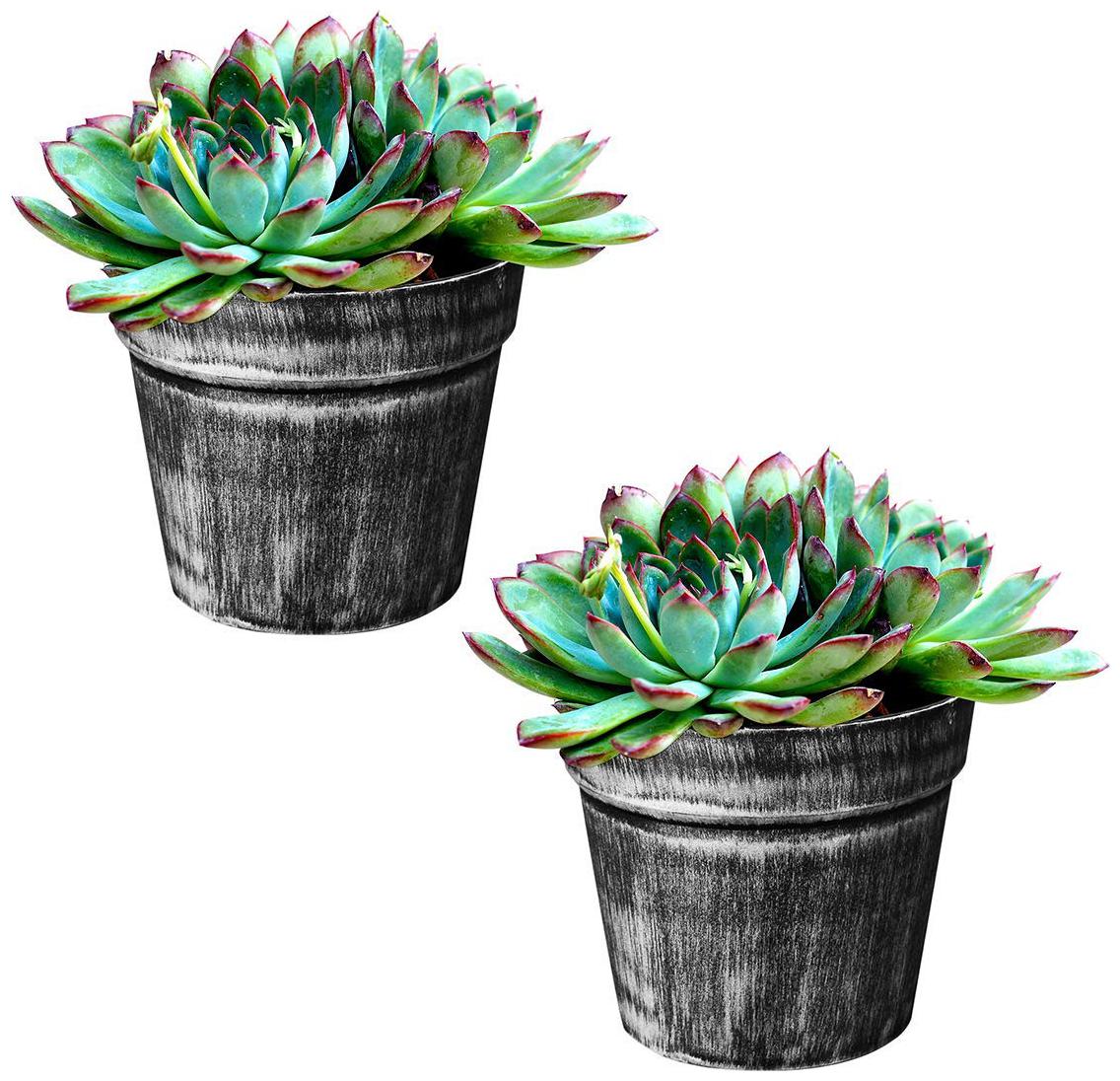 

Story Home 2 pc Silver Finish Plastic Pot