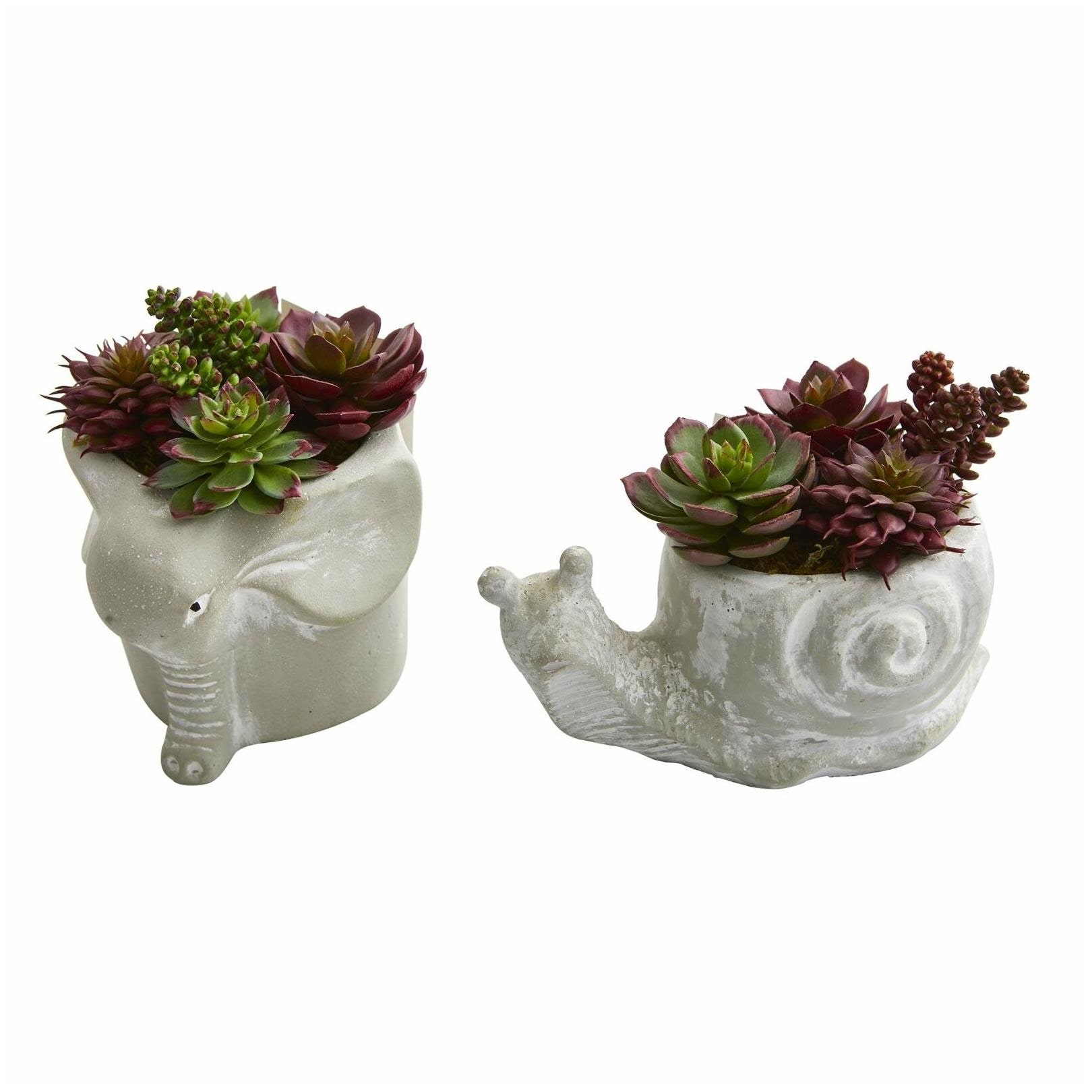 

Succulent Artificial Plant in Elephant and Snail Planter