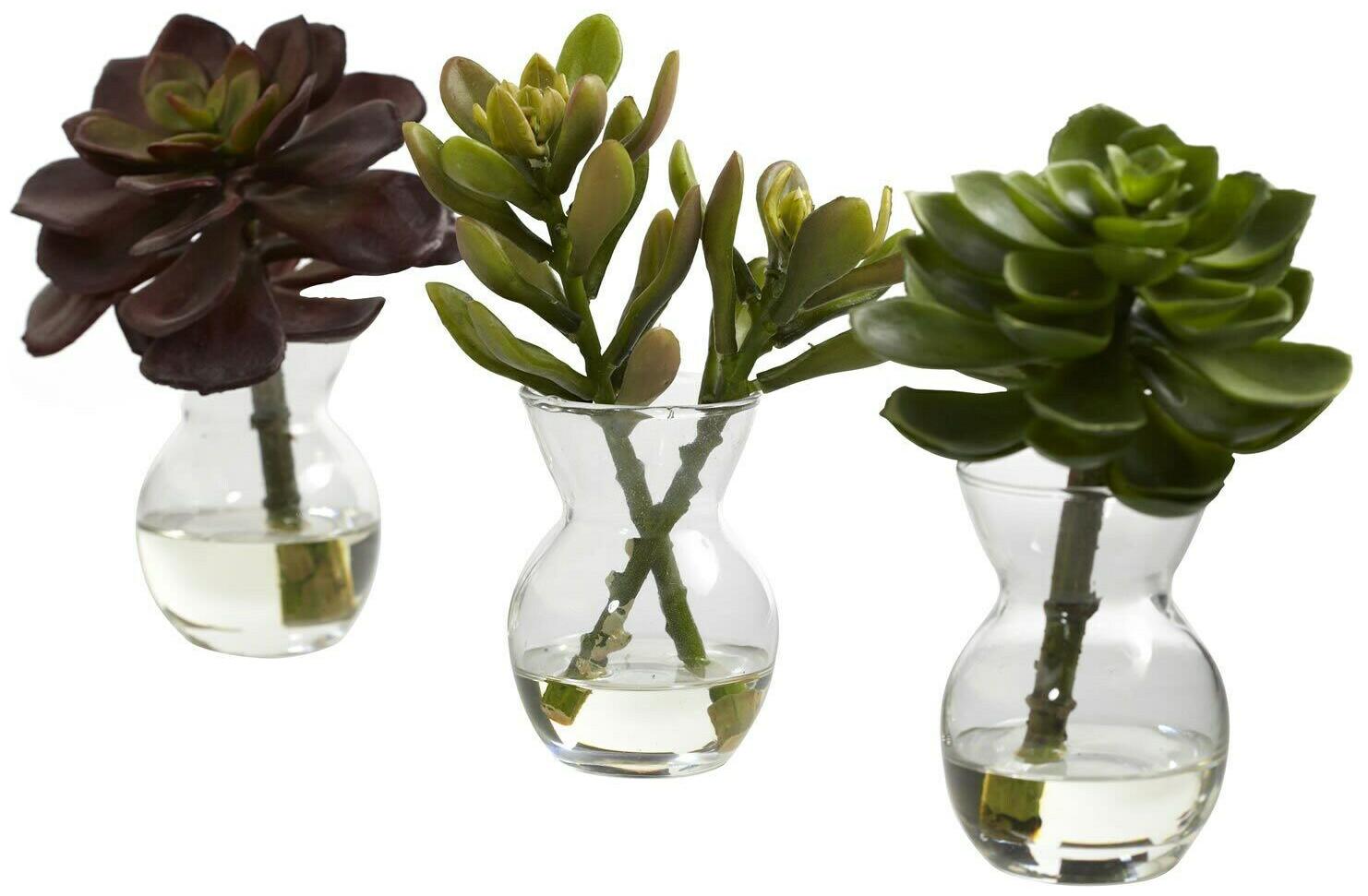

Succulent Arrangement Decorative Set (Set of 3)