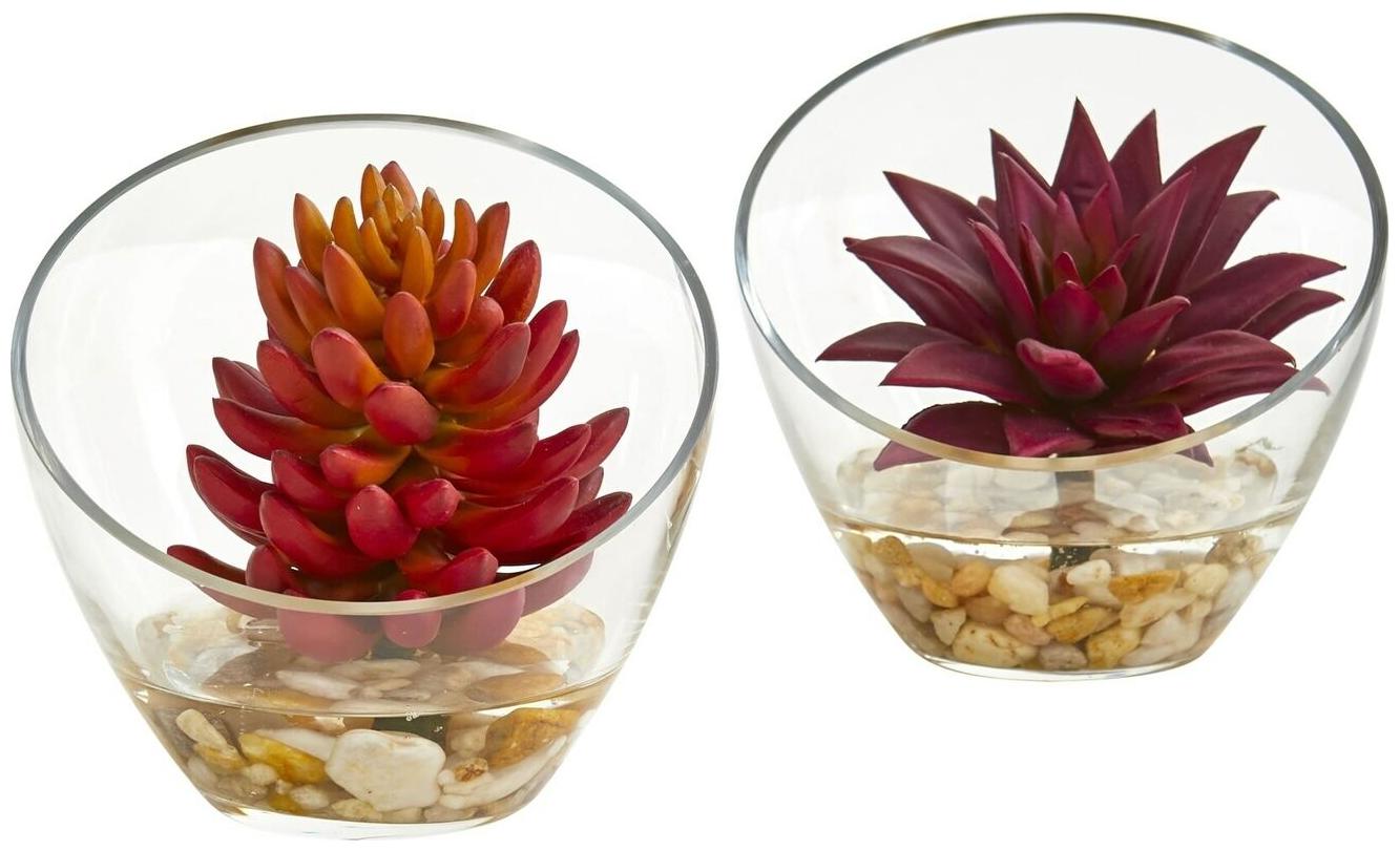 

Succulents in Glass Vase 6-inch Artificial Plants (Set of 2)