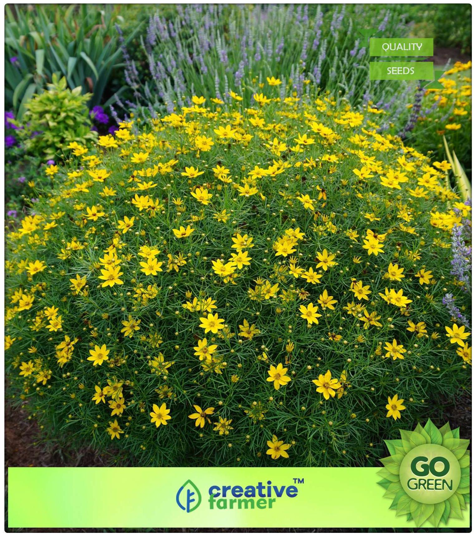 https://assetscdn1.paytm.com/images/catalog/product/H/HO/HOMSUMMER-FLOWECREA8874727AAFC3D/1563113185803_0..jpg