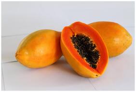 Taiwan Papaya Lady Hybrid Pappaya Seeds Fruit Seeds For Garden Bonsai Suitable Fruit Seeds Garden Pack By Creative Farmer