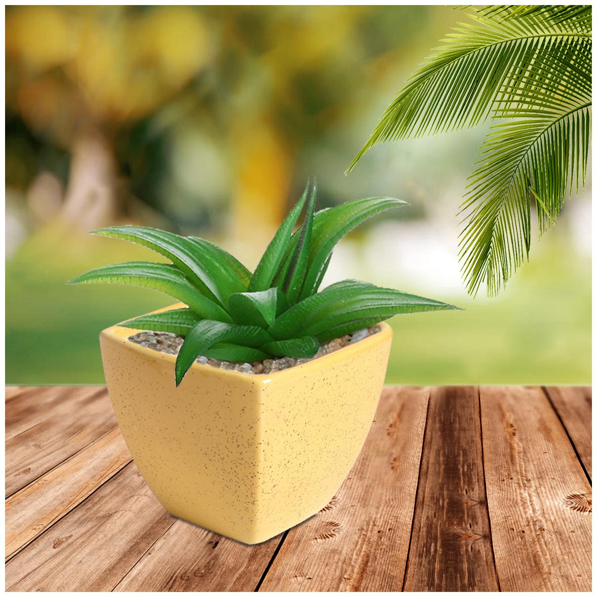 

Tashveen Articles Yellow Square Ceramic Planter Indoor Outdoor