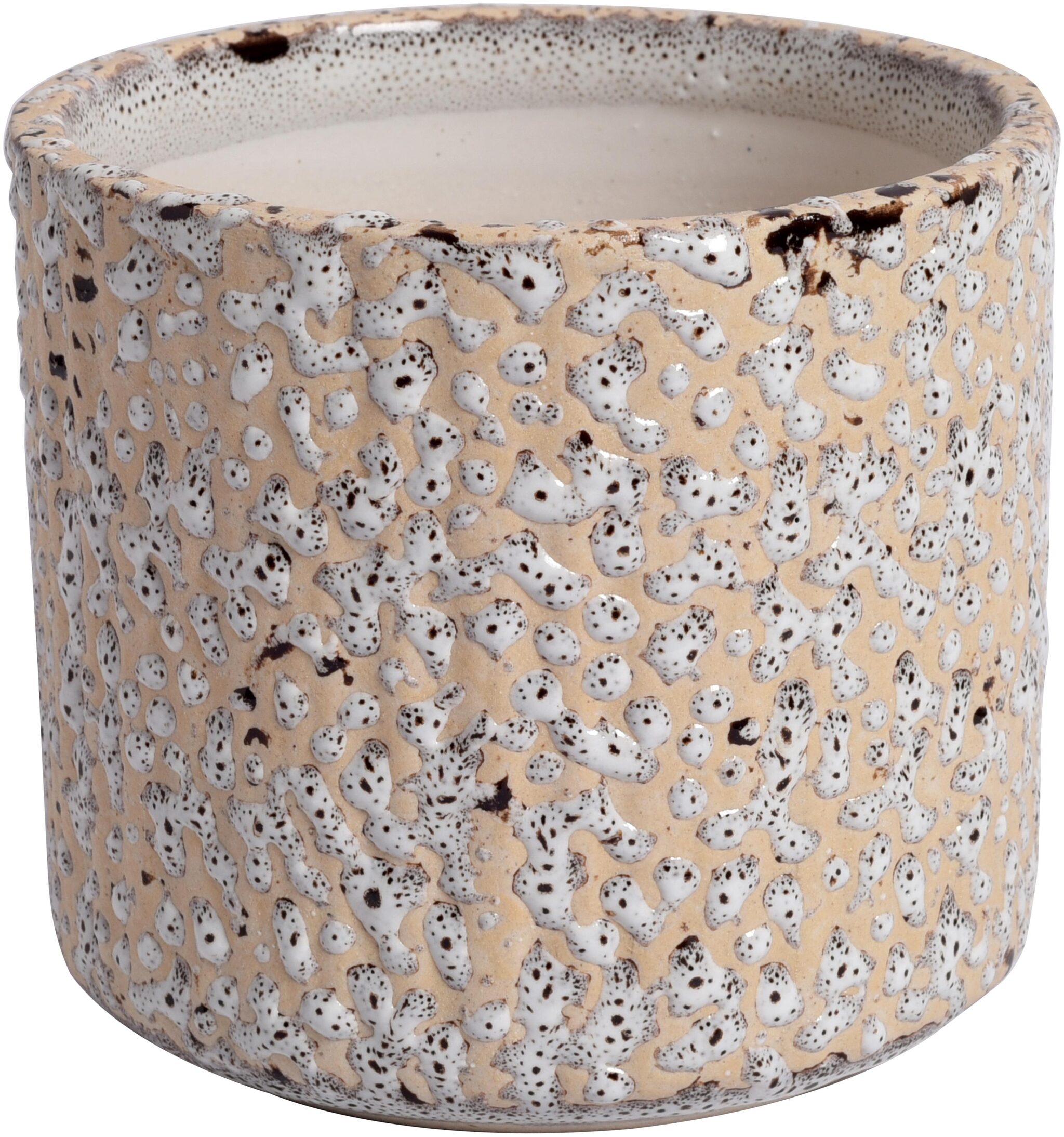 

Tashveen Articles Ceramic Planter (Off White with White and Coffee Colour Dots) Indoor planter Outdoor Planter Pot Gamla