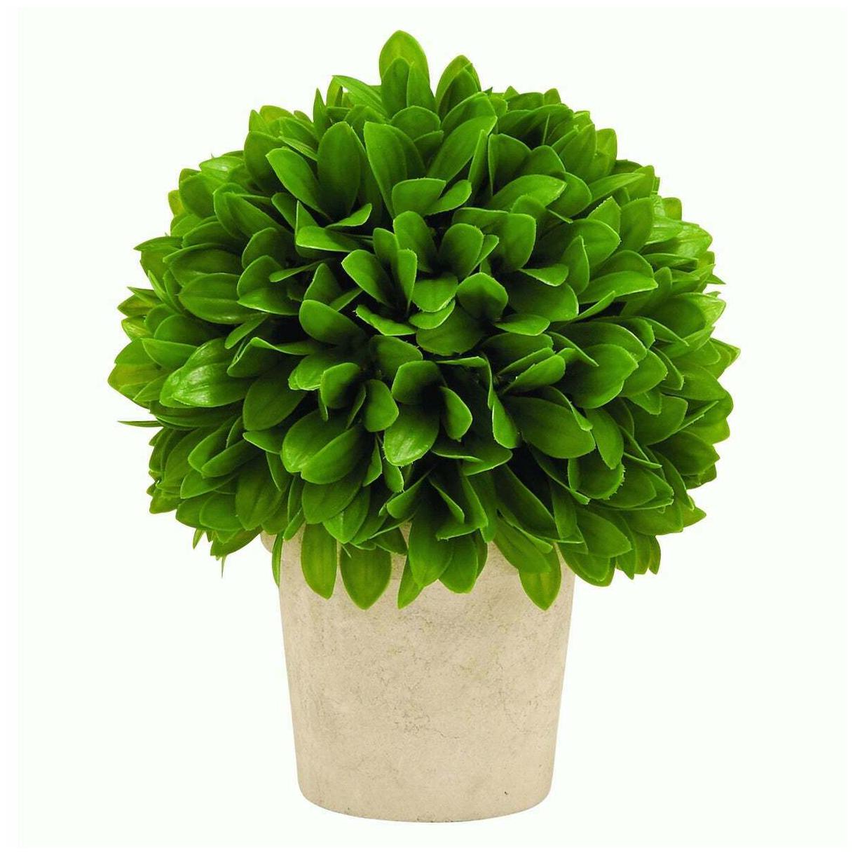 

The Gray Barn Jartop Green Potted Leaf Ball