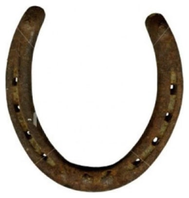 

Timeshopee Black Horse Shoe Naal Set of 1