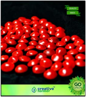 Tree Seeds Lucky Beads Tree Tree Seeds For Garden Premium Kitchen Garden Plant Seeds