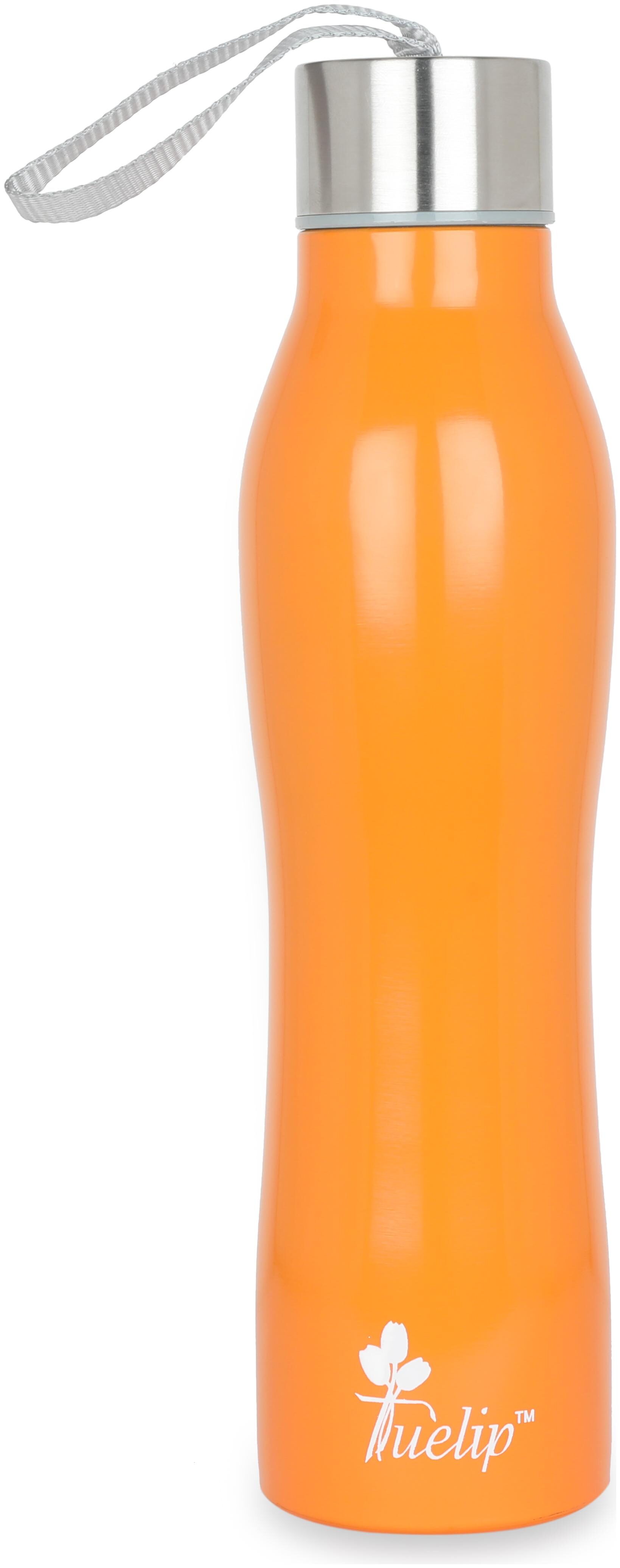 

Tuelip Stainless Steel Orange Water Bottle ( 750 ml Set of 1 )