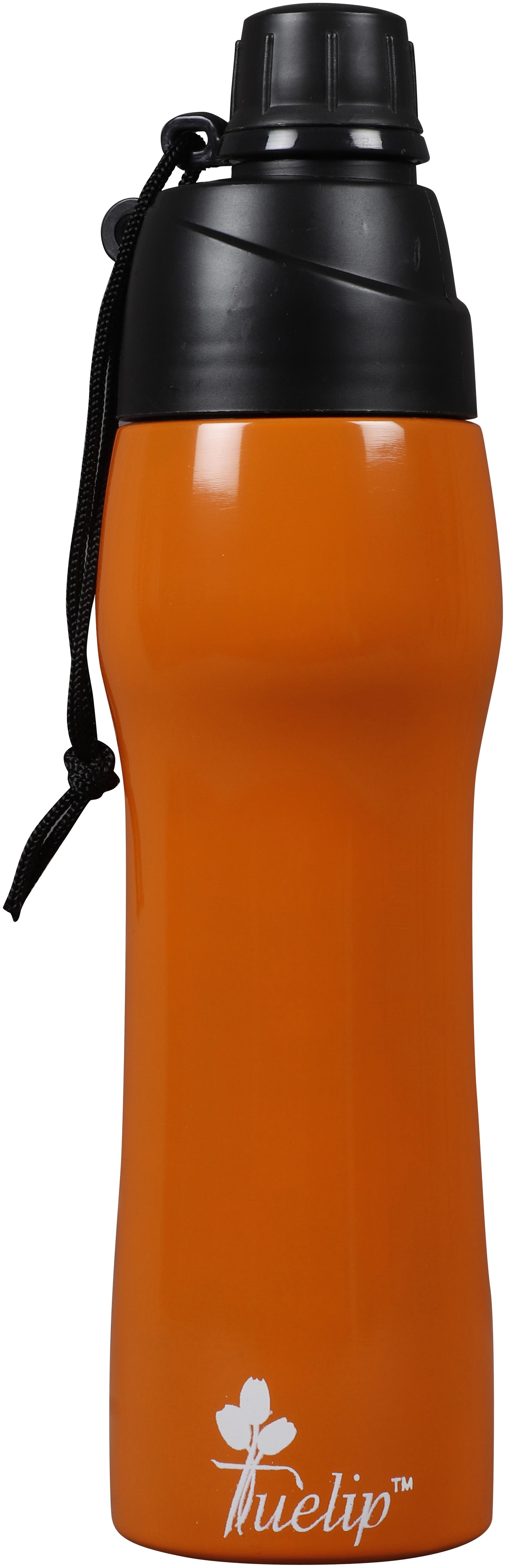

Tuelip Stainless Steel Orange Water Bottle ( 600 ml Set of 1 )