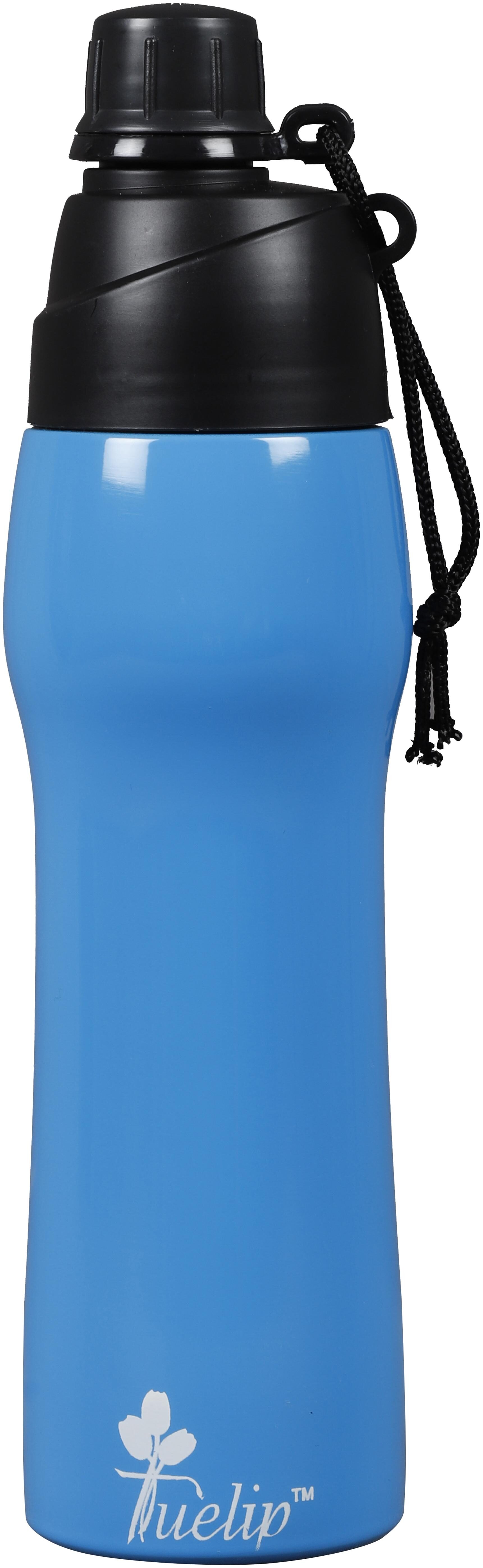 

Tuelip Stainless Steel Blue Water Bottle ( 600 ml Set of 1 )