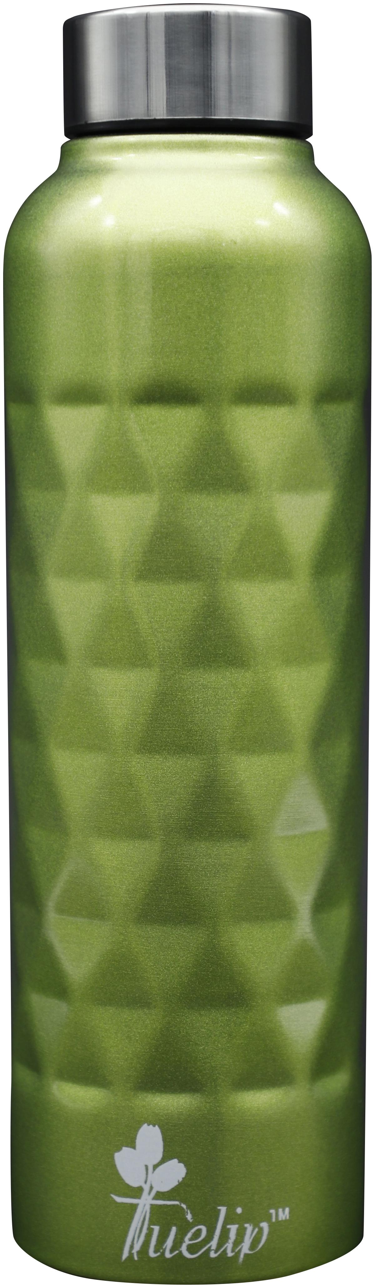 

Tuelip Stainless Steel Green Water Bottle ( 750 ml Set of 1 )