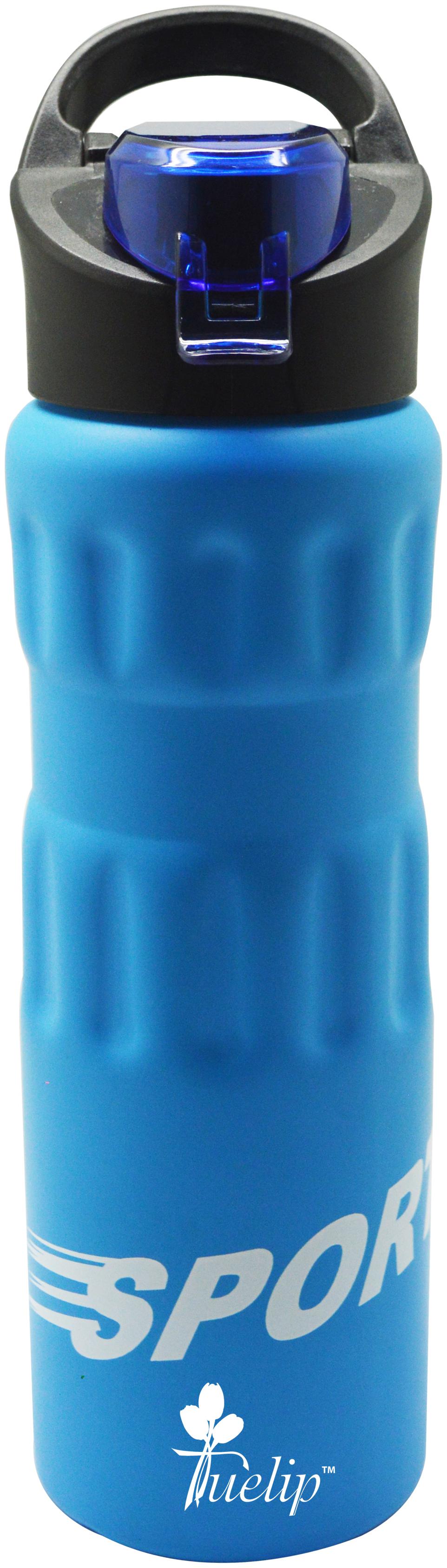

Tuelip Stainless Steel Blue Water Bottle ( 750 ml Set of 1 )