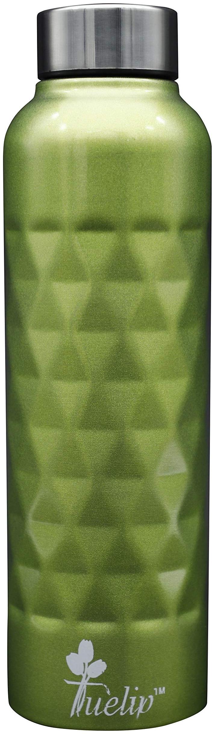 

Tuelip Stainless Steel Green Water Bottle ( 750 ml Set of 1 )
