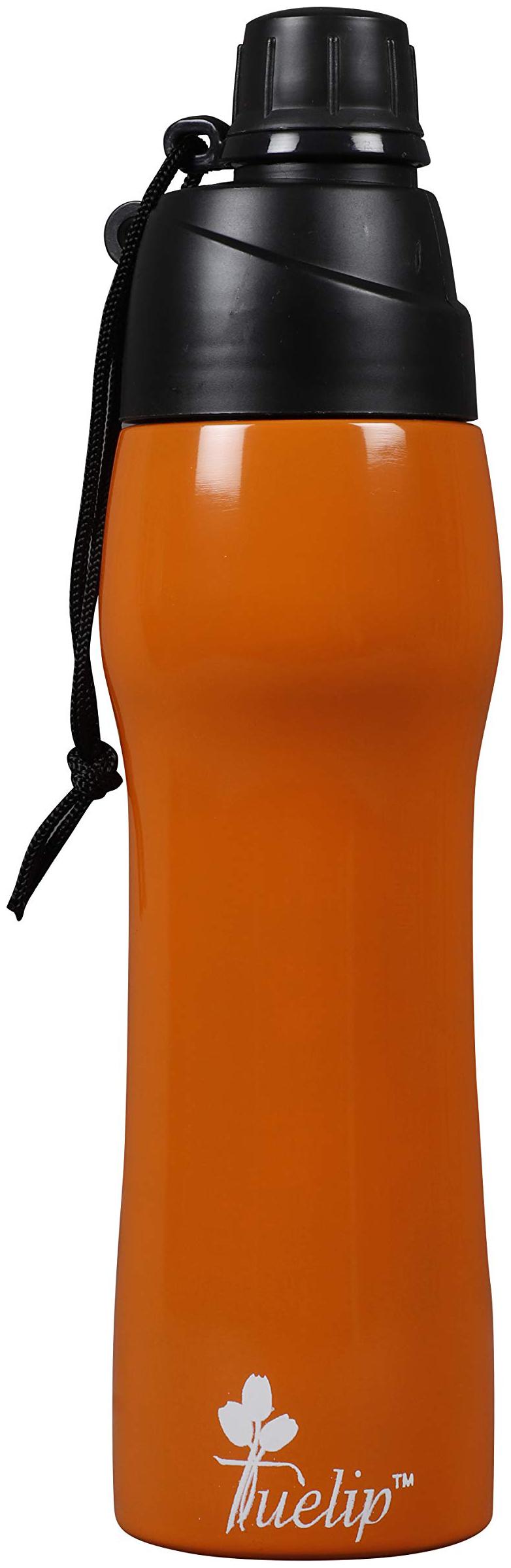 

Tuelip Stainless Steel Orange Water Bottle ( 600 ml Set of 1 )