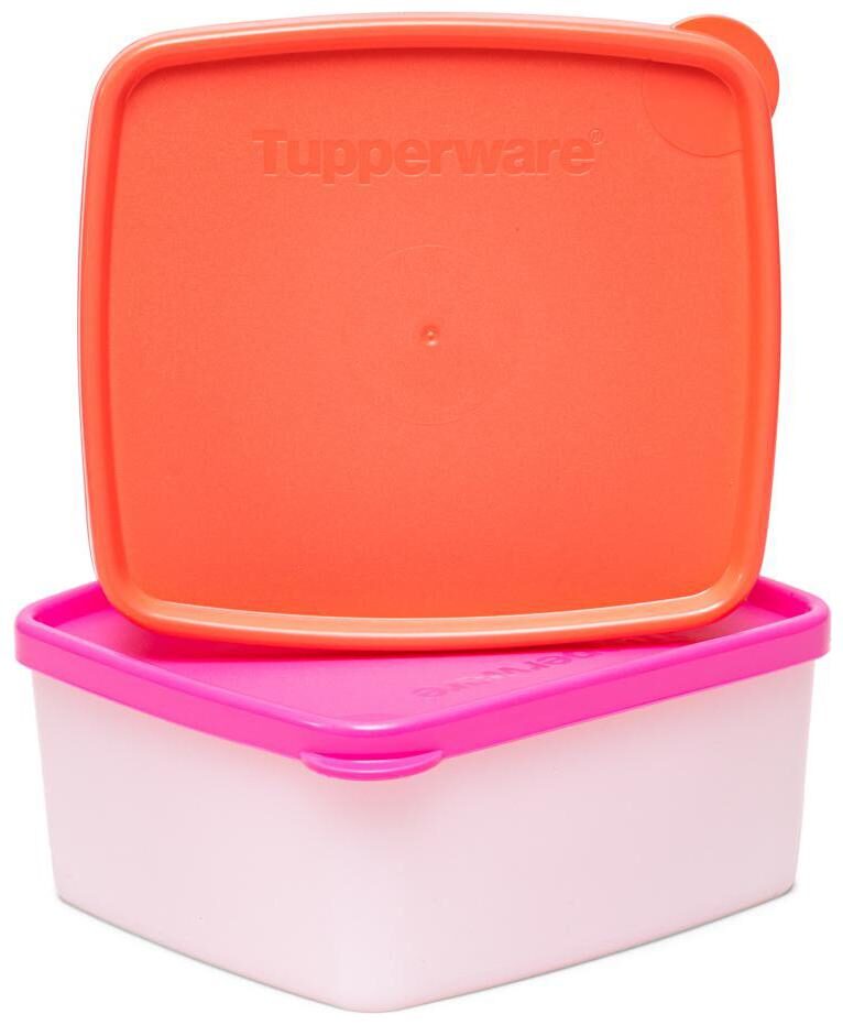 

Tupperware Cool n Fresh Small 2pcs