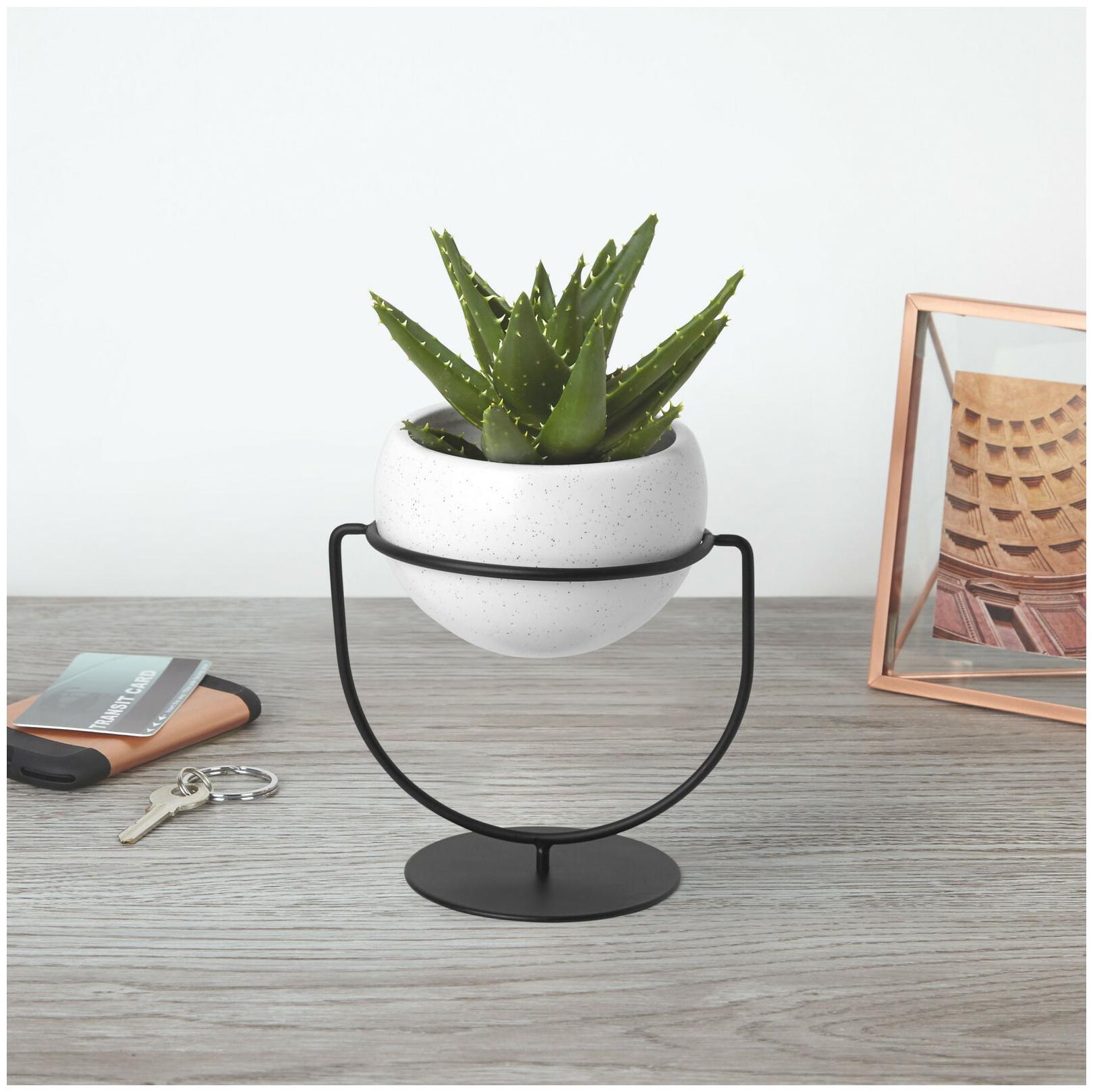 

Umbra 1009251 Nesta 6 3 4 W Ceramic - White