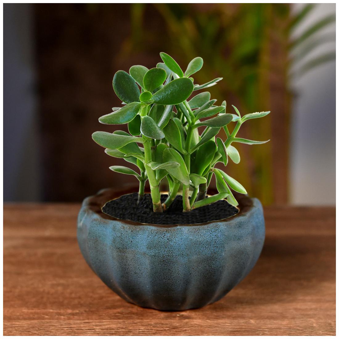 

Unravel India ceramic glazed studio blue bowl table top planter