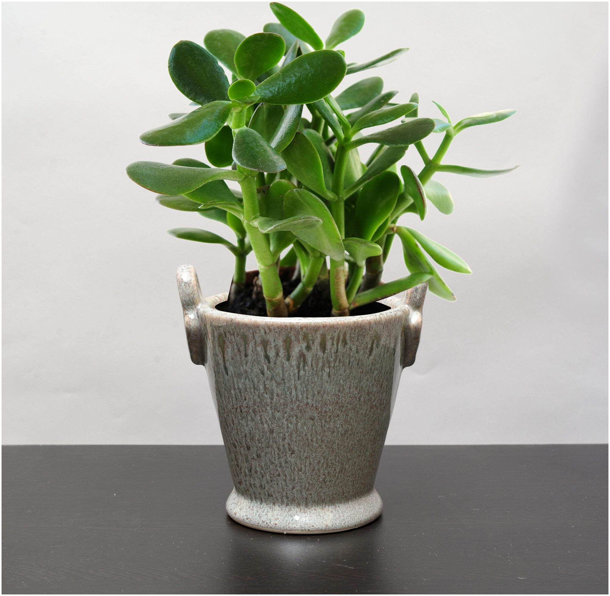 

Unravel India Studio design ceramic hanging planter