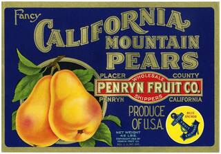 US Seller- California Mountain Pears crate label art poster room decoration