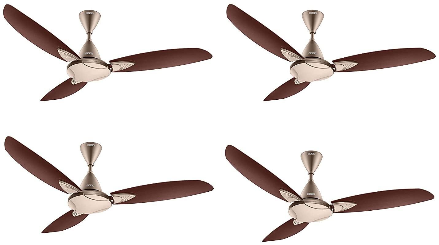 

Usha Bloom Primrose 1250 mm 3 Blade Ceiling Fan (Sparkle Golden And Brown Pack Of 4)