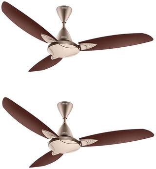 Buy Usha Bloom Primrose 1250 Mm 3 Blade Ceiling Fan Sparkle Golden And Brown Pack Of 2 Online At Low Prices In India Paytmmall Com The only weak side is its fragile plastic material which can easily break.