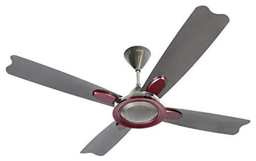

Usha Ceiling Fan 1300mm Bloom Dahlia Sparke Black Maroon Pack Of 1