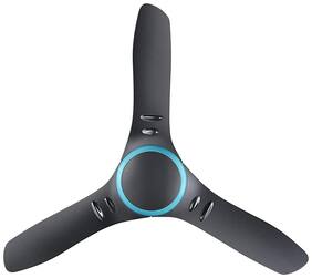 Usha Fan Buy Usha Fans Online At Best Price Paytm Mall