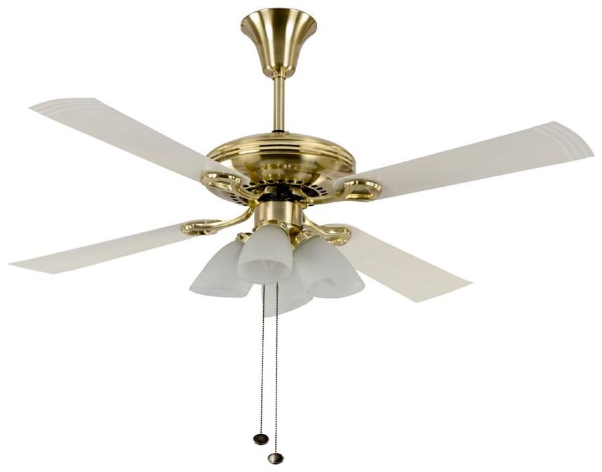 

USHA Fontana Lotus 4 Blades (1230 mm) Ceiling Fan (White Gold)