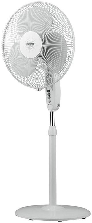 Buy Usha Mistairex 400 Mm Decorative Pedestal Fan White Pack Of 1 Online At Low Prices In India Paytmmall Com