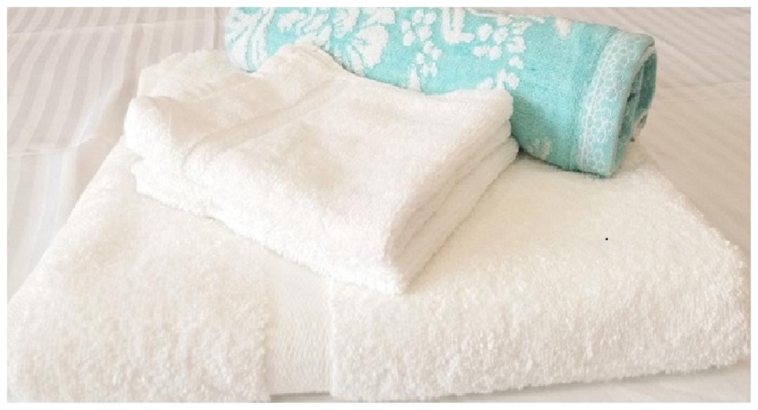 

Valtellina 250 GSM Cotton Hand Towel ( 1 Piece Multi )
