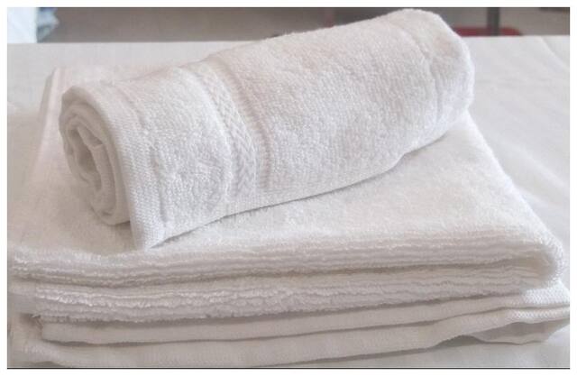 Valtellina 250 GSM Cotton Face Towel ( Pack of 1 , White )