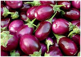 Vegetable Seeds : Brinjal Long Purple Mukta Jhuri Eggplant - Vegetable Seeds For Pots : Kitchen Garden Pack by Creative Farmer