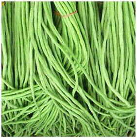 Vegetable Seeds : Cowpea Seeds Long Bean - Borboti - Barbatti - Vegetable Seeds For Kitchen Garden : Kitchen Garden Pack by Creative Farmer