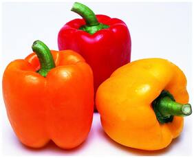 Vegetable Seeds Hybrid Mixed Orange;Red And Yellow - Capsicum Mixed Colours Seeds For Vegetable Garden Seeds