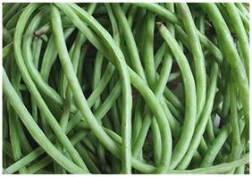 Vegetable Seeds : Cowpea Seeds Medium Long Bean - Borboti - Barbatti - Vegetable Seeds For Farming : Kitchen Garden Pack by Creative Farmer