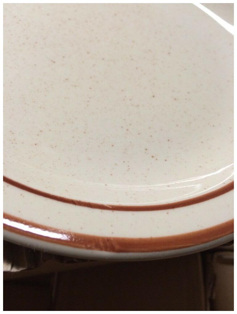

Vertex Plate 4 (6 1 2 ) Round Plates - 36 pieces Speckled Brown Trim New