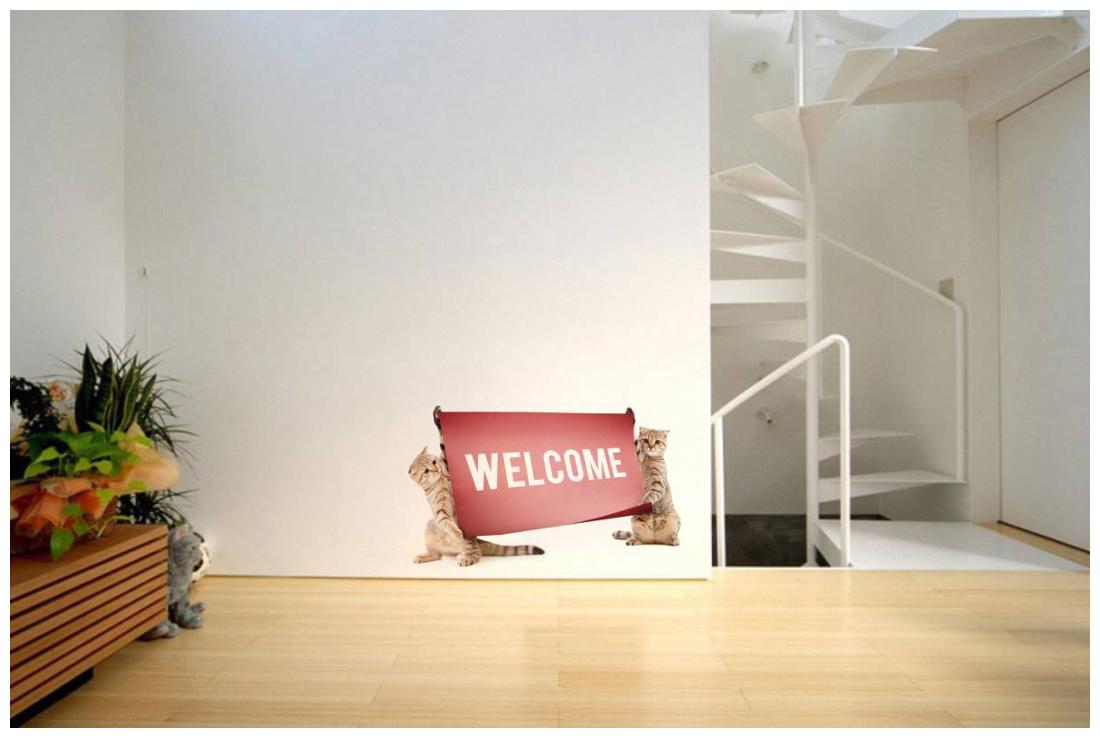 

Rawpockets Wall Stickers Welcome by Cats