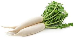White Radish Seeds (White Long) Kitchen Garden Pack by Creative Farmer