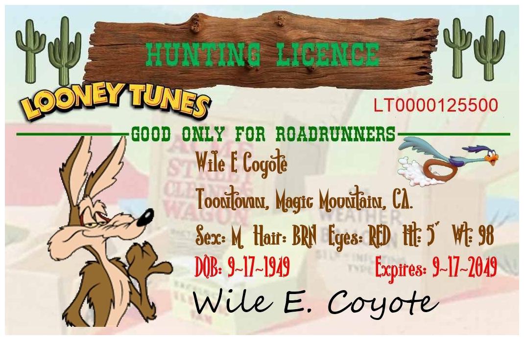 

WILE E COYOTE HUNTING LICENSE 2 1 2 X 4 FRIDGE MAGNET ROADRUNNER FREE SHIP